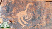 رسم  صخري  لطائر  النعام  في  موقع  الشملي