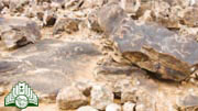 رسوم  صخرية  في  محافظة  الغاط