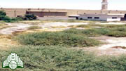 مقبرة  الشهداء