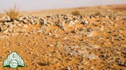 المنشآت  المذيلة  في  صفراء  حقيل  في  محافظة  الدوادمي